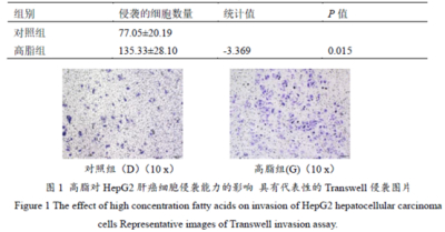 高脂环境下（游离脂肪酸FFA、PA、OA）对肝癌细胞（HepG2）E2F1的影响
