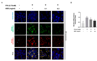 Antioxidants（IF=6）：体外游离脂肪酸（FFA）诱导脂质沉积细胞模型（HepG2）